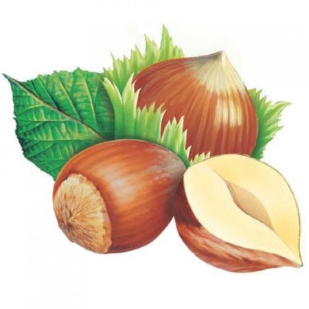 Орехи для детей