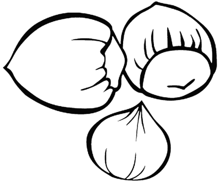 Орех раскраска для детей