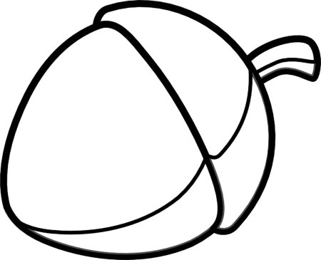 Орешки на прозрачном фоне