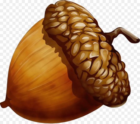 Орехи иллюстрация