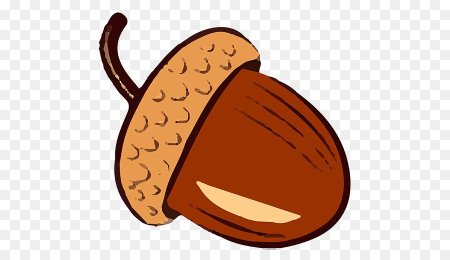 Орех рисунок для детей