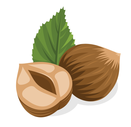 Орехи логотип