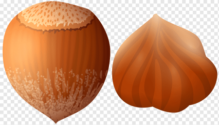 Орешки для раскрашивания