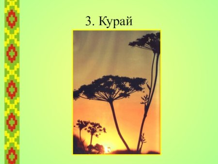 Башкирский орнамент на тарелке