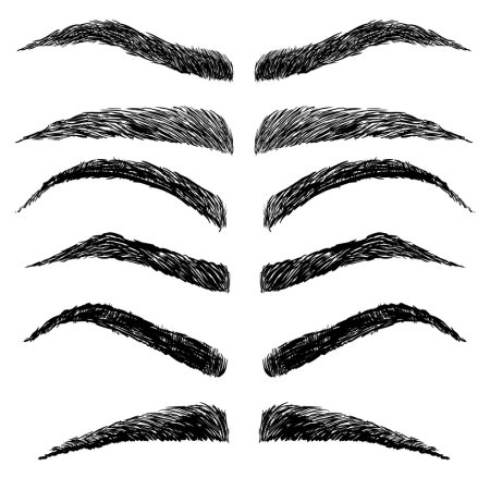 Формы бровей вектор