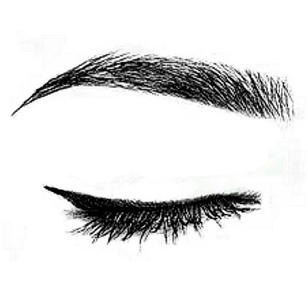 Брови рисунок