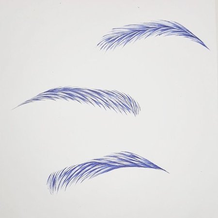 Рисунок волосков бровей