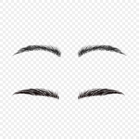 Брови для фотошопа на прозрачном фоне