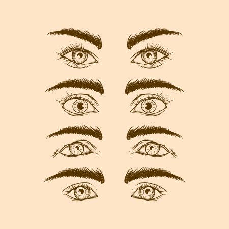 Брови рисунок