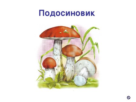 Подосиновик для детей детского сада