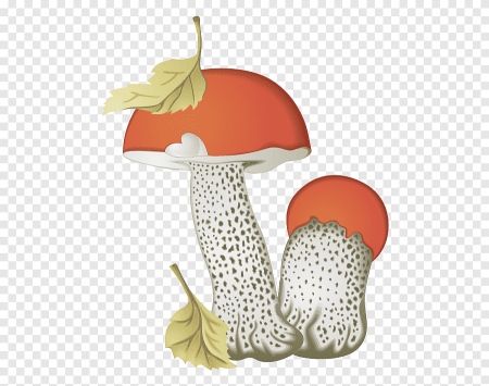 Грибы клипарт