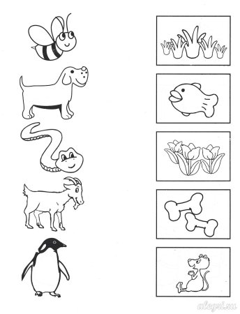 Задания для детей 3-5 лет