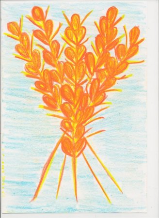 Рисование колосок в подготовительной группе