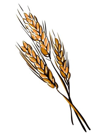 Рисование колосок