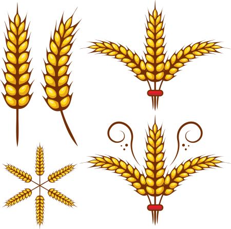 Колосок для детей