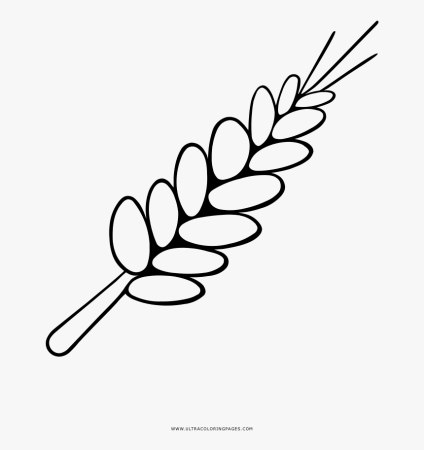 Колосок для детей