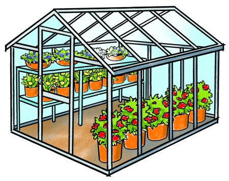 Теплица рисованная