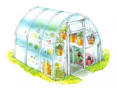 Теплица для дошкольников