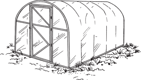 Разукрашенная теплица