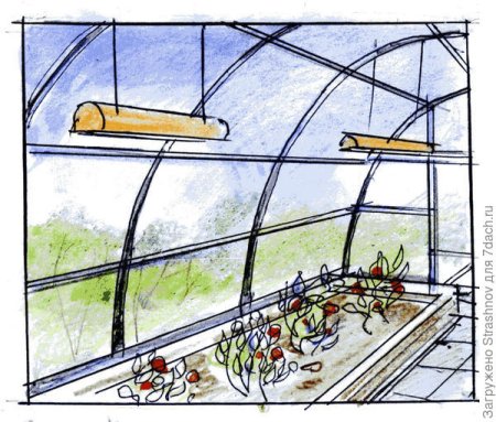 Теплица карандашом