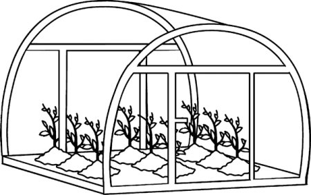 Теплица мультяшная