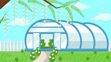 Теплица рисунок