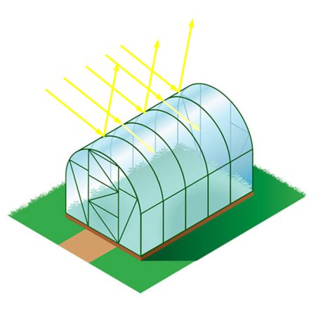 Теплица для детей