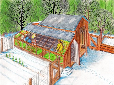 Оранжерея рисунок