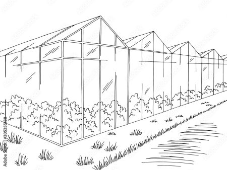 Раскраска огород грядки