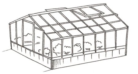 Чертеж теплицы Биония