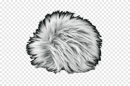 Шерсть на белом фоне