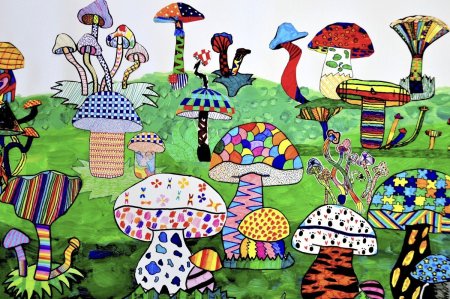 Рисунки необычных грибов