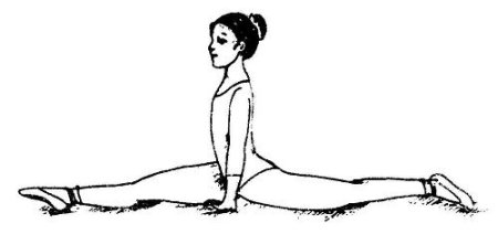 Гимнастика рисунки карандашом