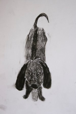 Рисование углём животных для детей