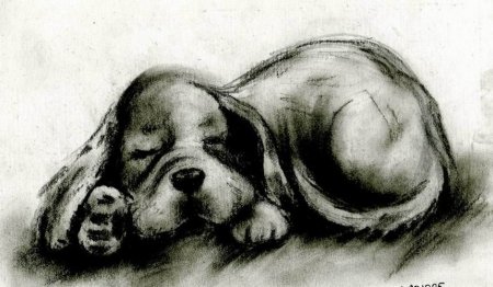 Рисование углем кот