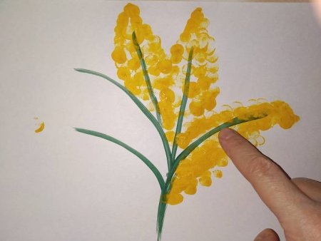 Мимоза цветок ватными палочками
