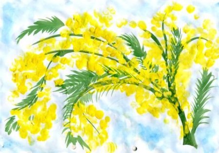 Мимоза ватными палочками