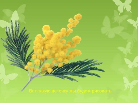 Веточка мимозы для рисования детям