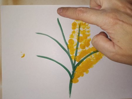 Веточка мимозы 2 мл