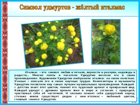 Поэтапное рисование пионов