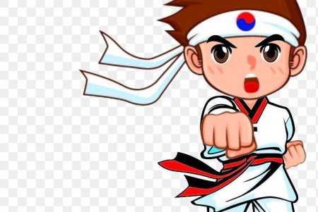 Каратист мультяшный