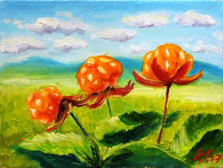 Морошка ягода акварель