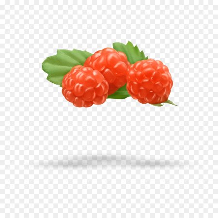 Морошка ягода на белом фоне