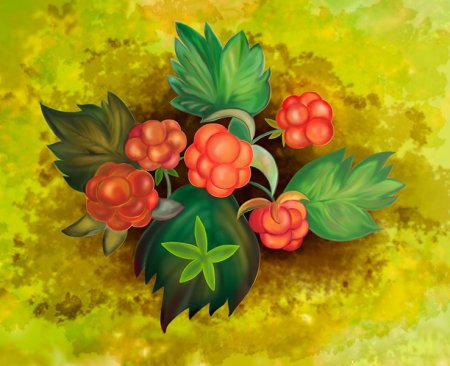 Морошка живопись