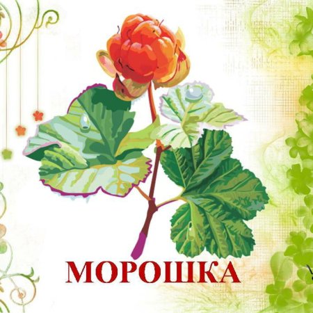 Лекарственные травы для детей