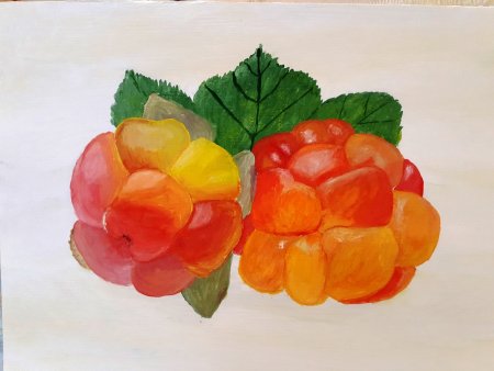 Морошка акварель