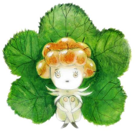 Морошка ягода