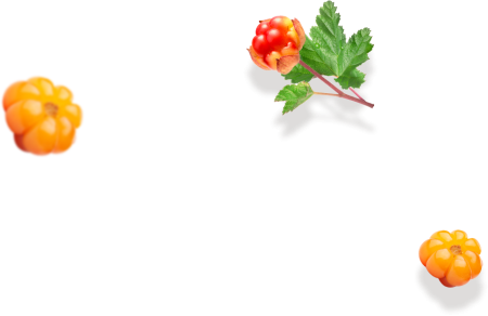 Морошка ягода