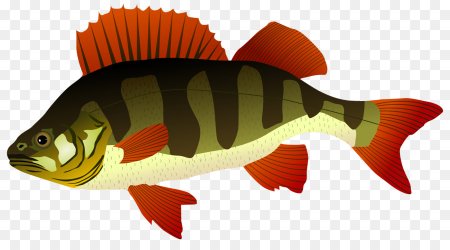 Окунь мультяшный