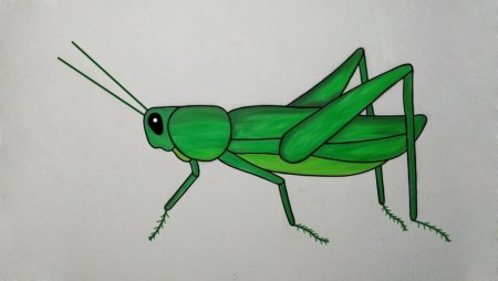 Кузнечик для детей